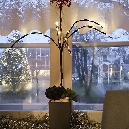 בית אירוח Kesklinna Kodumajutus *