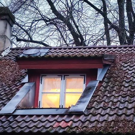 Проживание в семье Kesklinna Kodumajutus *