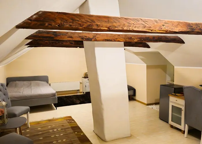 Kesklinna Kodumajutus Проживание в семье Пайде